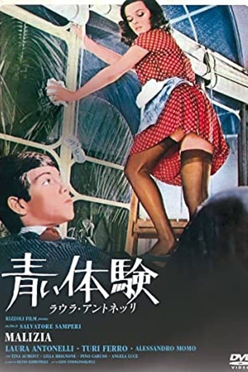 Director's Movie Image