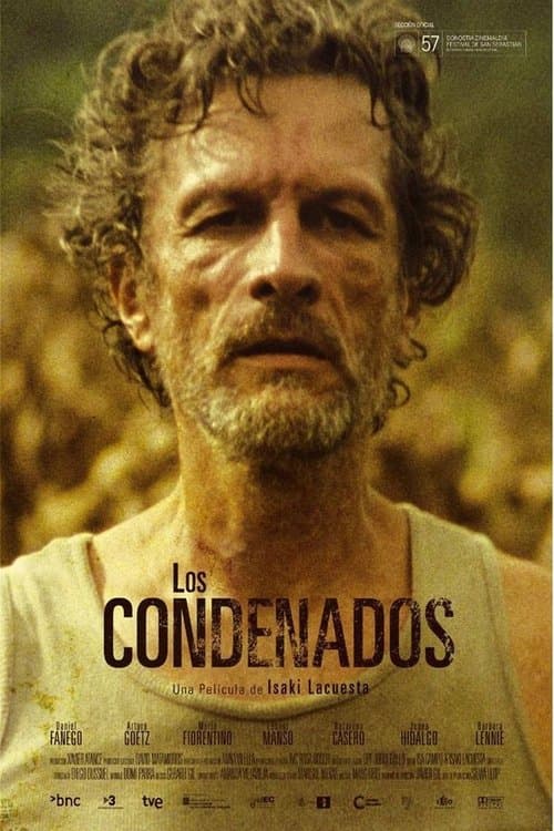 Director's Movie Image