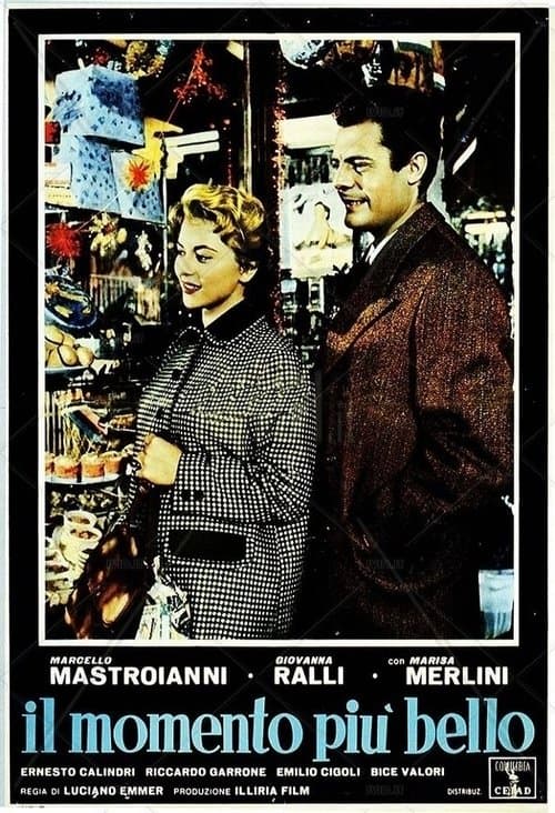 Director's Movie Image