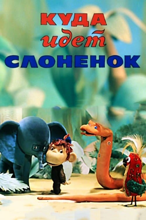 Director's Movie Image