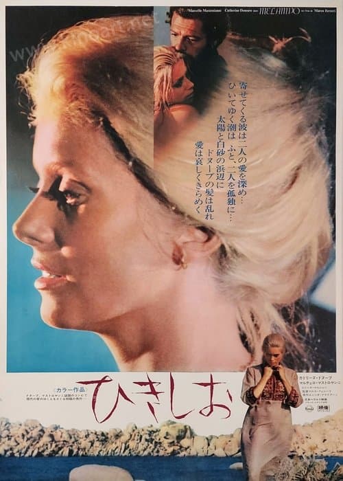 Director's Movie Image