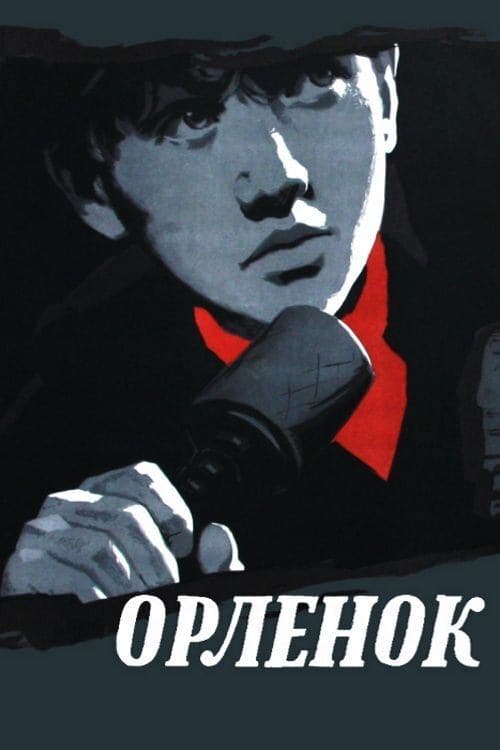 Director's Movie Image