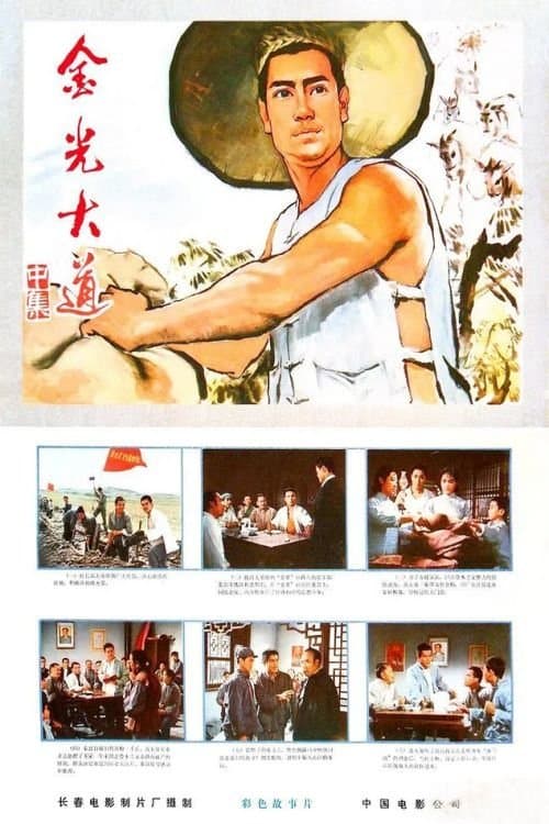 Director's Movie Image