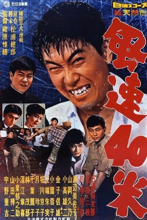 Director's Movie Image