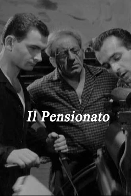 Director's Movie Image