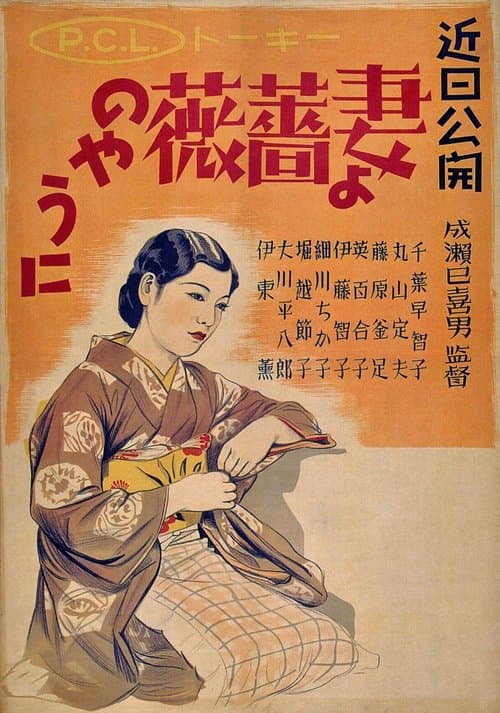 Director's Movie Image