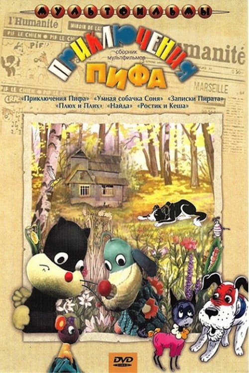 Director's Movie Image