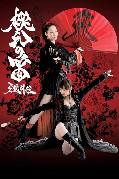 Director's Movie Image