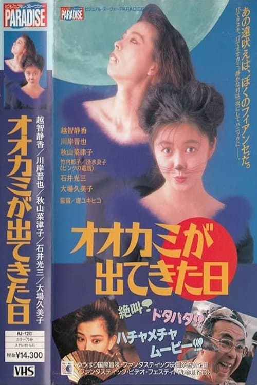 Director's Movie Image