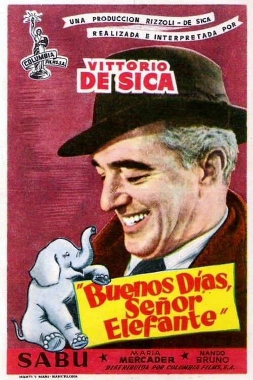 Director's Movie Image