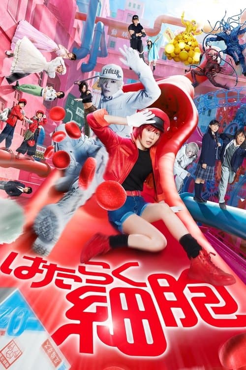 Director's Movie Image