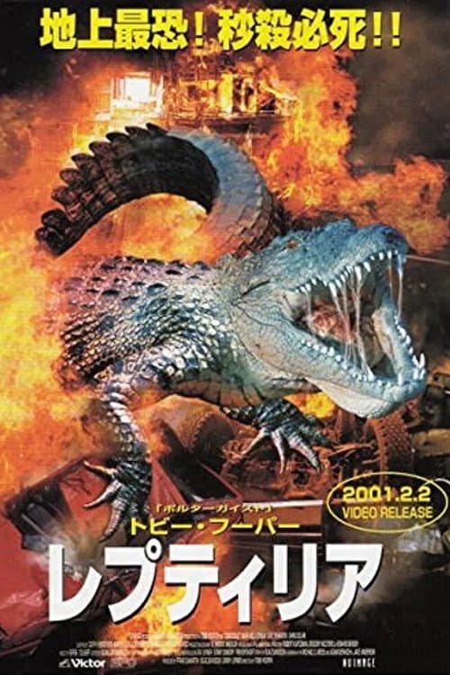 Director's Movie Image