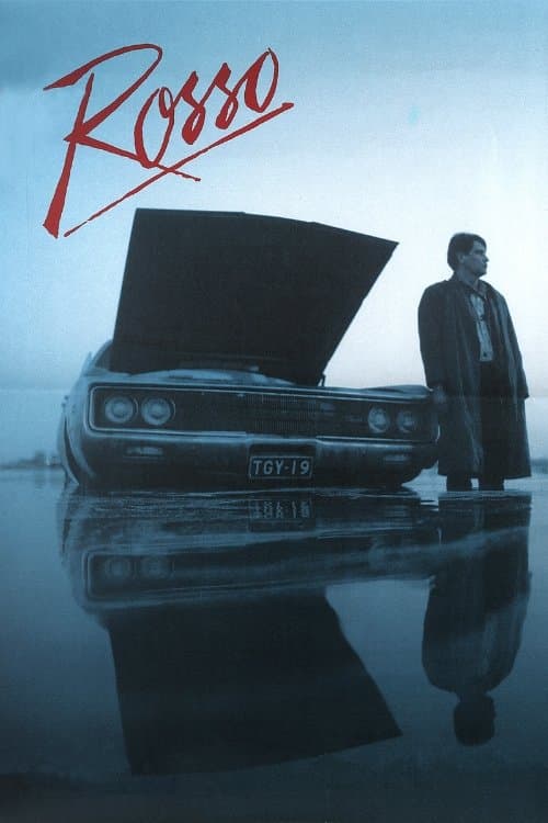 Director's Movie Image