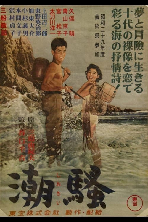 Director's Movie Image
