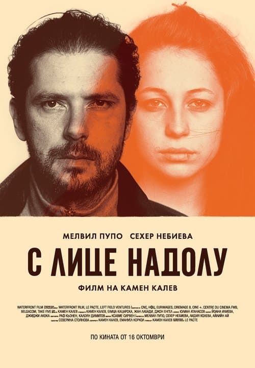 Director's Movie Image