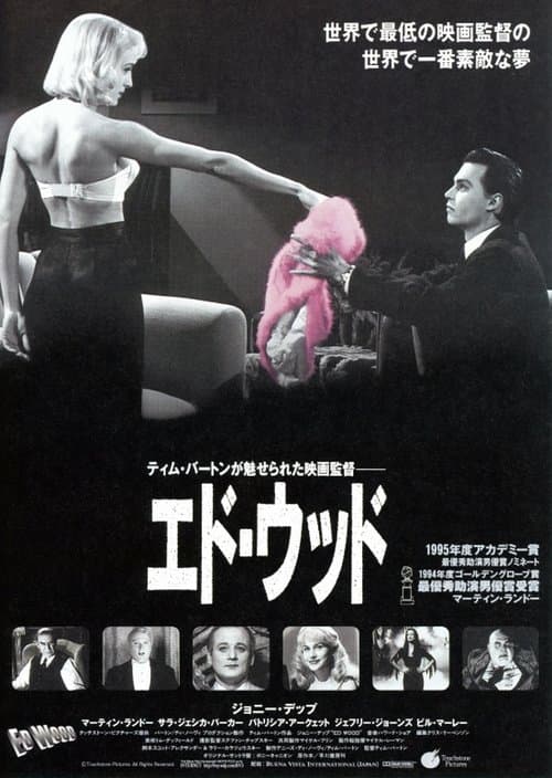 Director's Movie Image