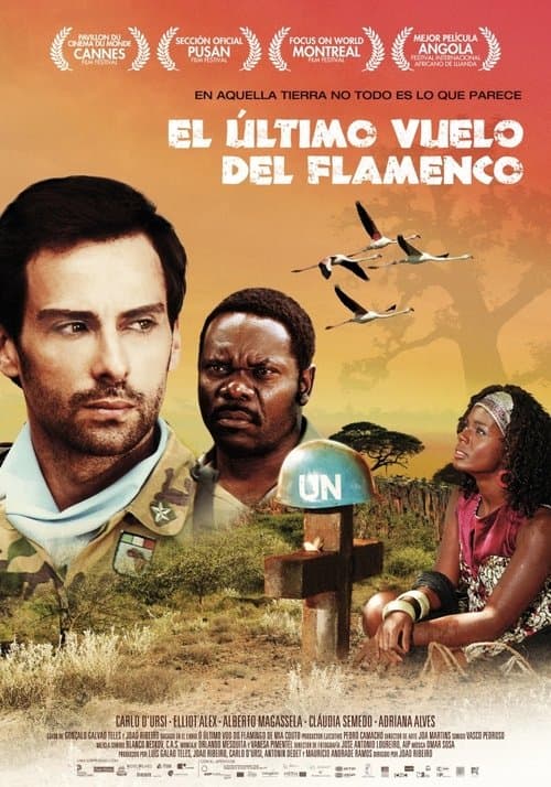 Director's Movie Image