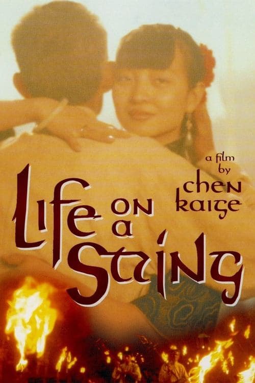 Director's Movie Image