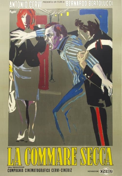 Director's Movie Image