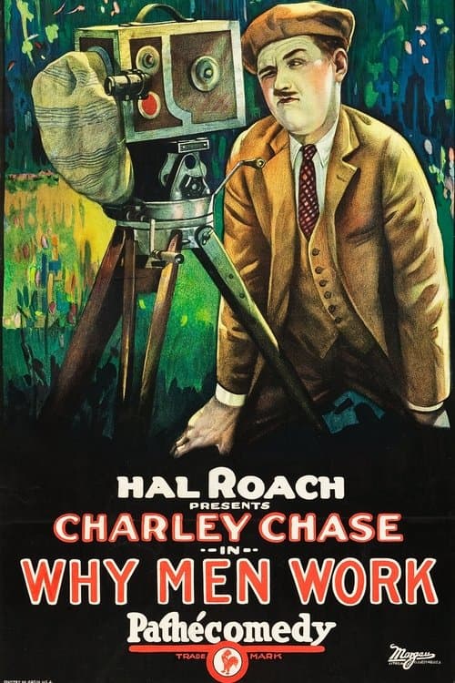 Director's Movie Image
