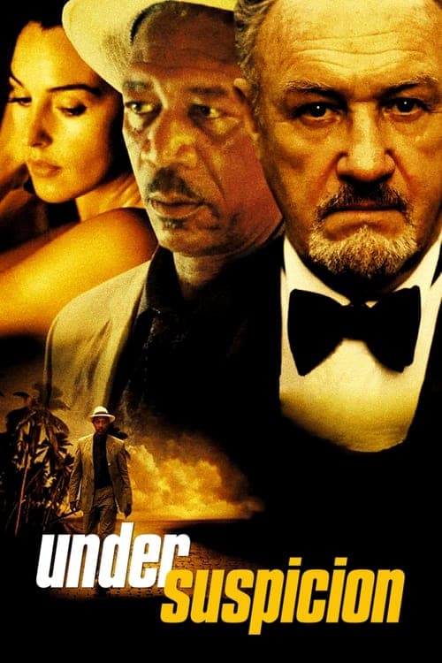 Director's Movie Image