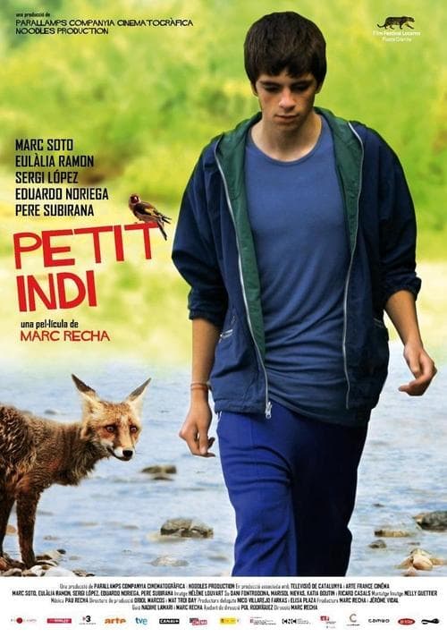 Director's Movie Image