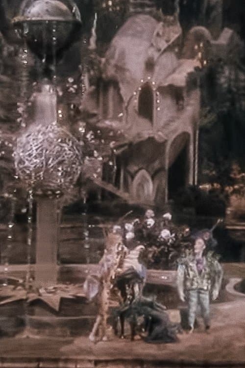 Director's Movie Image