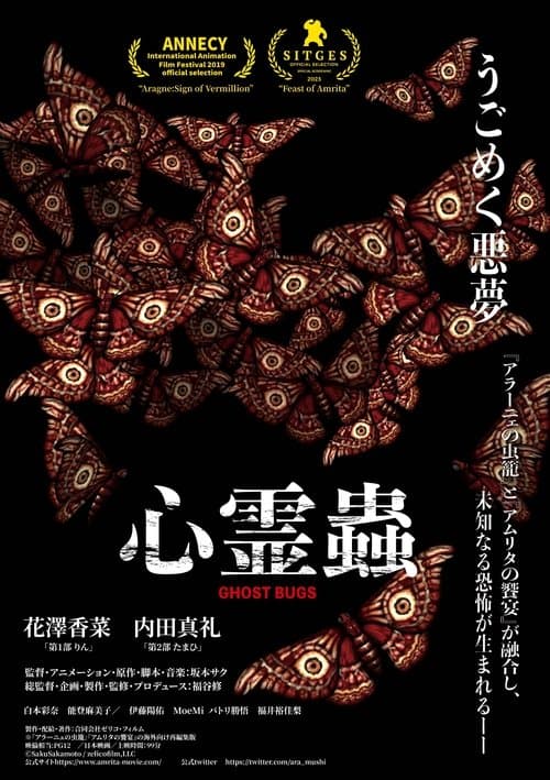 Director's Movie Image