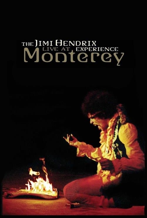 Director's Movie Image