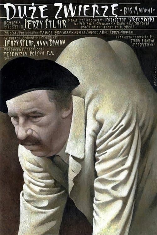 Director's Movie Image