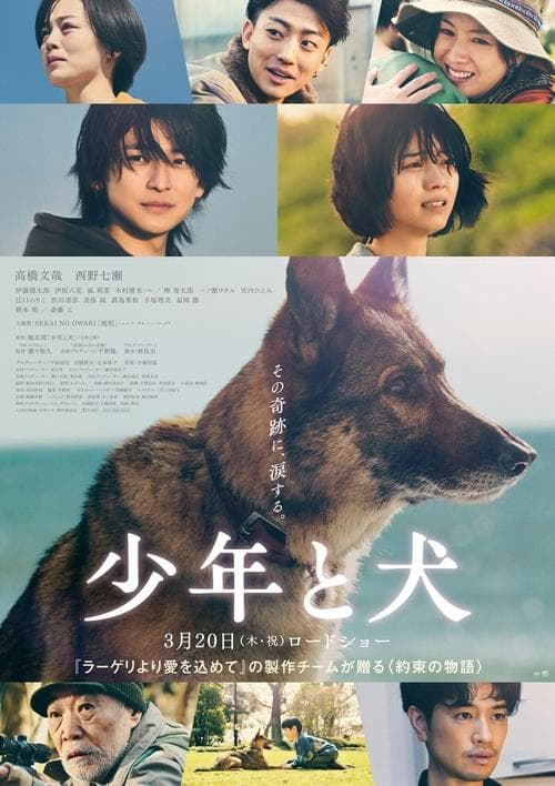 Director's Movie Image