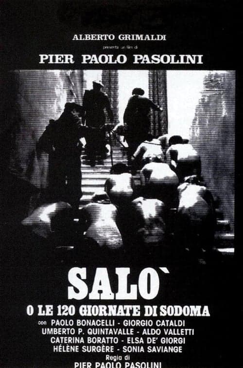 Director's Movie Image