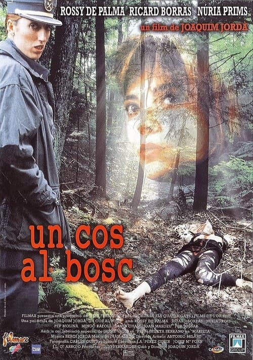 Director's Movie Image