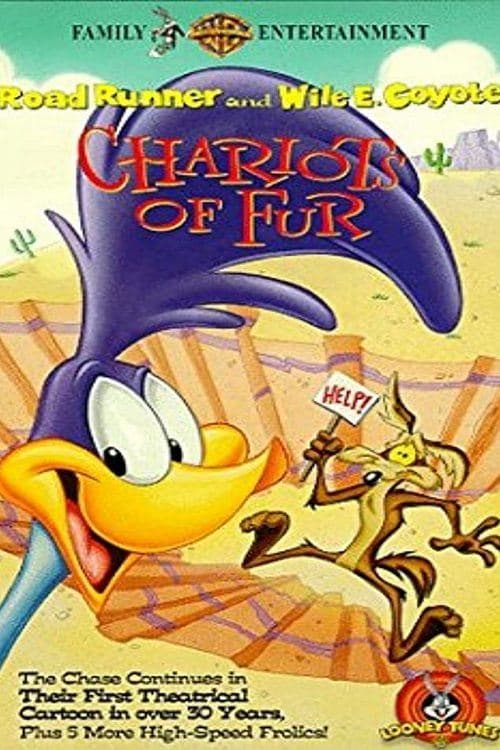 Director's Movie Image