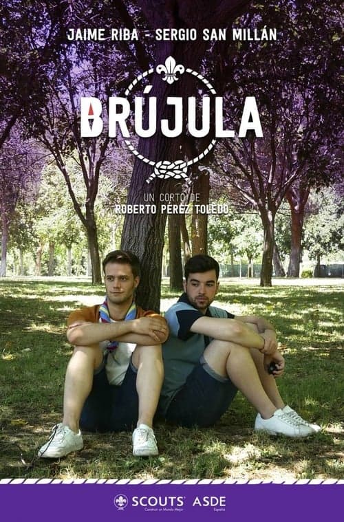 Director's Movie Image