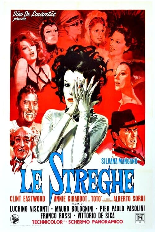 Director's Movie Image
