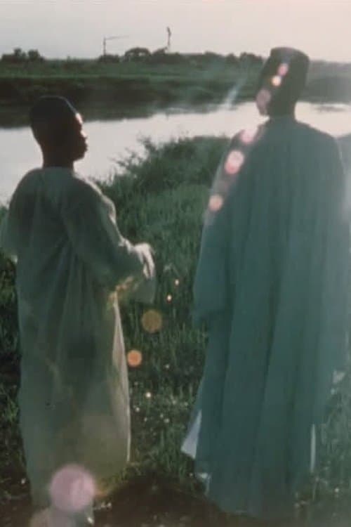 Director's Movie Image