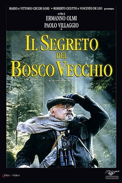 Director's Movie Image