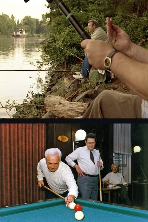 Director's Movie Image