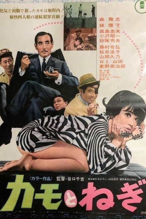 Director's Movie Image