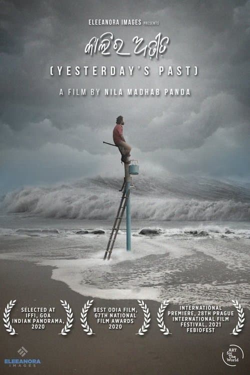 Director's Movie Image