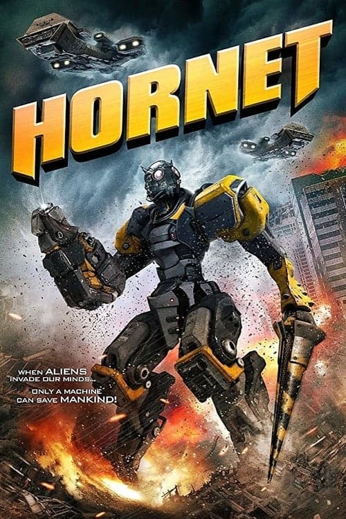 Director's Movie Image