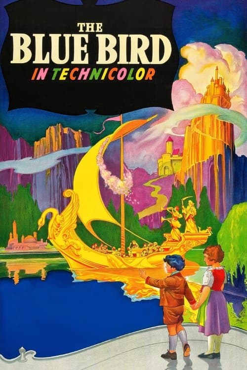 Director's Movie Image