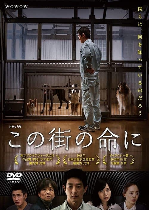 Director's Movie Image
