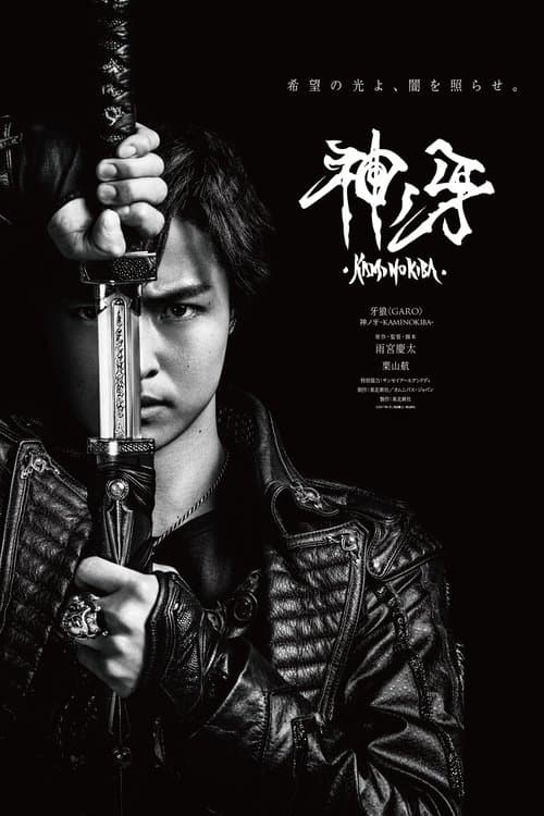Director's Movie Image