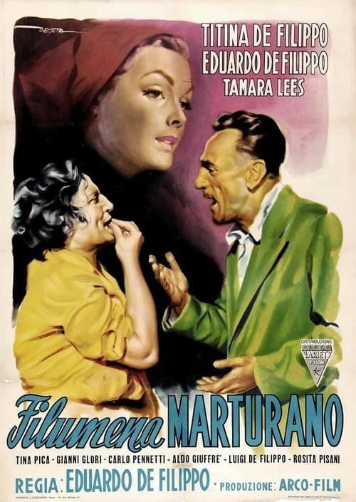 Director's Movie Image