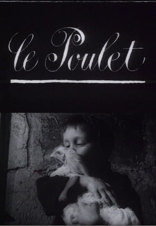 Director's Movie Image
