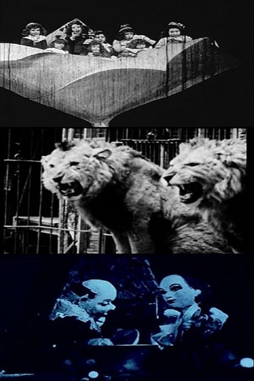 Director's Movie Image