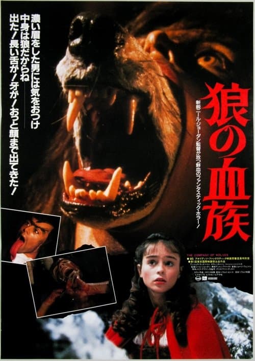 Director's Movie Image