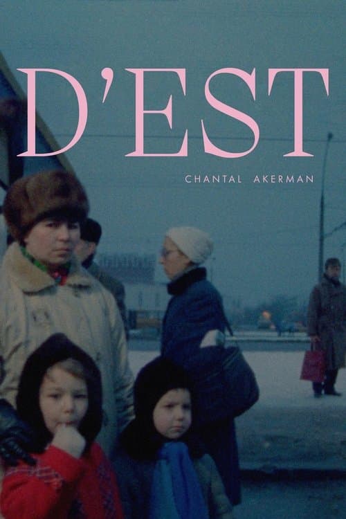 Director's Movie Image